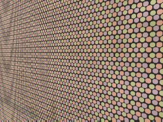 0013.jpg (46259 bytes)